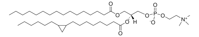 16:0-17:0 cyclo PC Avanti Polar Lipids 857501P, powder