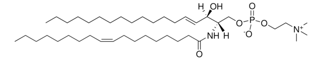 18:1 SM (d18:1/18:1(9Z)) Avanti Polar Lipids 860587P, powder