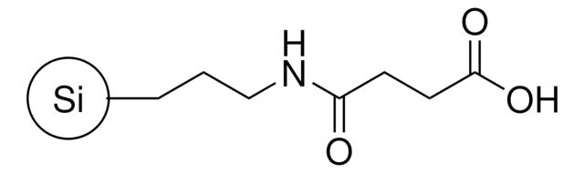 3-Aminopropyl(3-oxobutansäure)-funktionalisierte Kieselsäure nanoparticles, ~15&#160;nm particle size (DLS), dispersion, 2.5&#160;% (w/v) in DMF