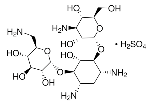 Kanamycin -sulfat aus Streptomyces kanamyceticus Animal Component-free