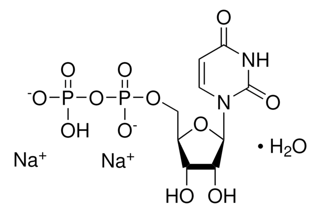 Uridine 5&#8242;-diphosphate disodium salt hydrate &#8805;96.0% (HPLC)