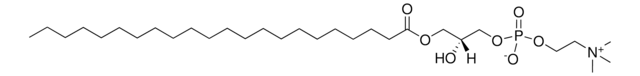 22:0 Lyso PC 1-behenoyl-2-hydroxy-sn-glycero-3-phosphocholine, powder