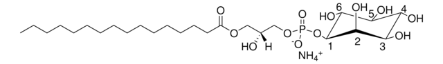 16:0 Lyso PI 1-palmitoyl-2-hydroxy-sn-glycero-3-phosphoinositol (ammonium salt), powder