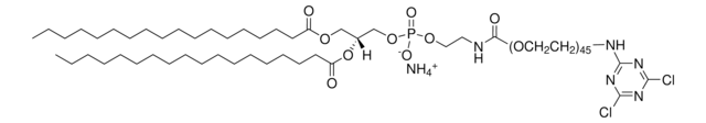 DSPE-PEG(2000) Cyanur Avanti Polar Lipids 880122P, powder