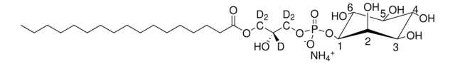 17:0 Lyso PI-d5 Avanti Polar Lipids