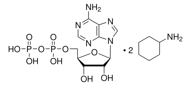 Adenosine 5&#8242;-diphosphate bis(cyclohexylammonium) salt &#8805;95% (HPLC), crystalline, bacterial