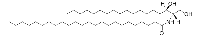 C24 Dihydroceramide (d18:0/24:0) Avanti Polar Lipids 860628P, powder