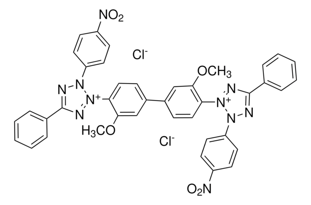 Nitrotetrazolium-Blauchlorid &#8805;90.0% (HPLC)