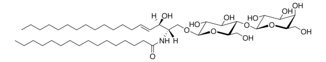 C16 Lactosyl(&#946;) Ceramide (d18:1/16:0) Avanti Polar Lipids 860576P, powder