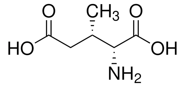 T3MG