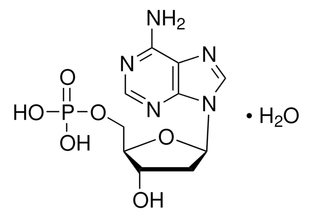 2&#8242;-Desoxyadenosin 5&#8242;-Monophosphat Monohydrat 98%