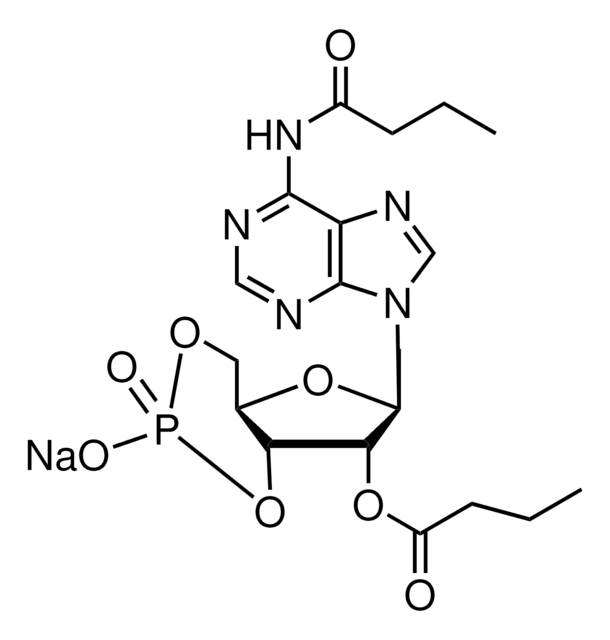 N6,2&#8242;-O-Dibutyryladenosin 3&#8242;,5&#8242;-zyklisches Monophosphat Natriumsalz Monohydrat &#8805;96% (HPLC), powder