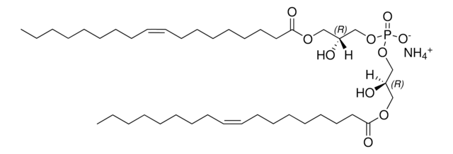 18:1 BMP (R,R) sn-(1-oleoyl-2-hydroxy)-glycerol-3-phospho-sn-3&#8242;-(1&#8242;-oleoyl-2&#8242;-hydroxy)-glycerol (ammonium salt), powder