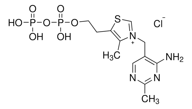 Thiaminpyrophosphat &#8805;95%