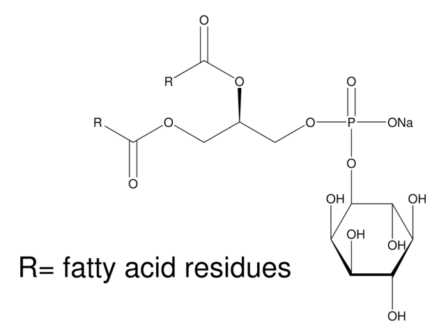 L-&#945;-Phosphatidylinositol sodium salt from Glycine max (soybean) &#8805;99%