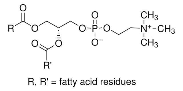 L-&#945;-Phosphatidylcholin egg yolk, Type XVI-E, &#8805;99% (TLC), lyophilized powder