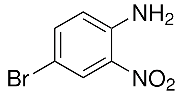 4-Brom-2-nitroanilin 97%