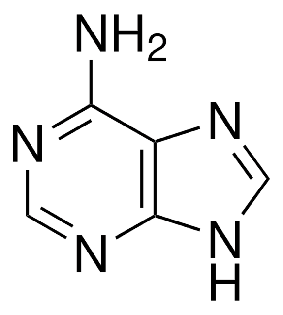 Adenine United States Pharmacopeia (USP) Reference Standard