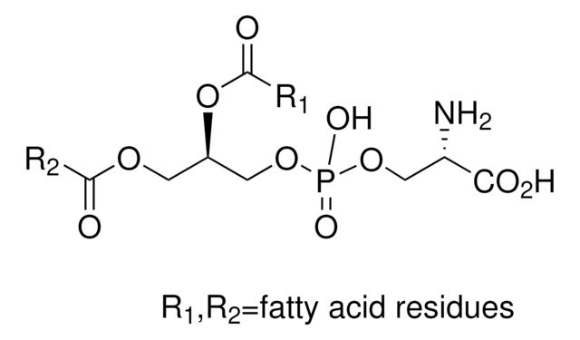 L-&#945;-Phosphatidyl-L-serin aus Glycine max (soybean) &#8805;97%