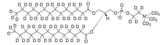 14:0 PC-d67 Avanti Polar Lipids 860348P, powder