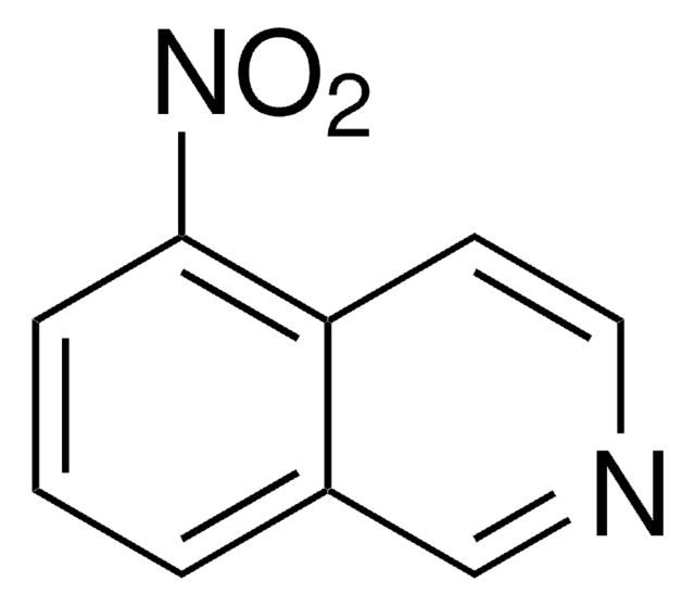 5-Nitroisoquinoline 98%