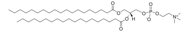 19:0 PC Avanti Polar Lipids