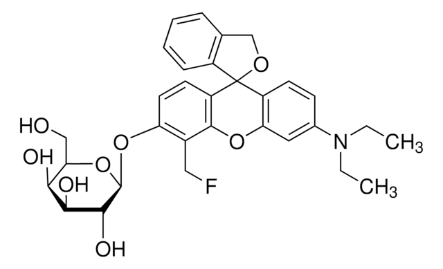 &#946;-Galaktosidase-Färbung