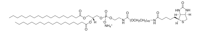 DSPE-PEG(2000) Biotin Avanti Polar Lipids 880129C