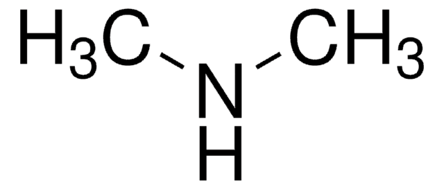 Dimethylamin anhydrous, &#8805;99%