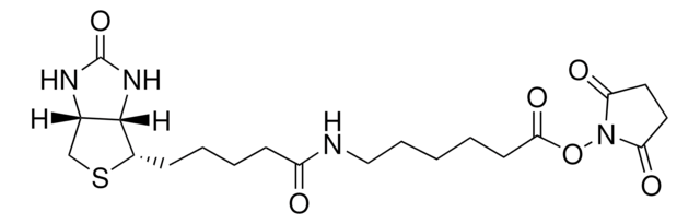 Biotinamidhexansäure-N-hydroxysuccinimidester &#8805;98% (TLC), powder