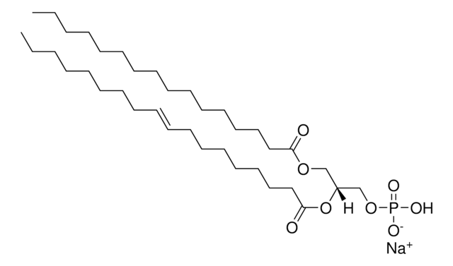 16:0-18:1 PA powder