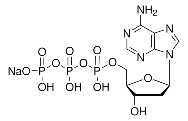 2&#8242;-Desoxyadenosin-5&#8242;-triphosphat Natriumsalz -Lösung 99% (dNTP), &lt;0.9% (dNDP), solution, 100&#160;mM