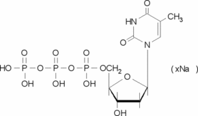 Thymidin-5&#8242;-triphosphat Natriumsalz -Lösung 100&#160;mM in H2O